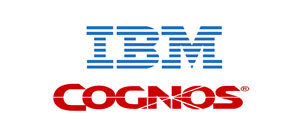 IBM Cognos - Our Clients